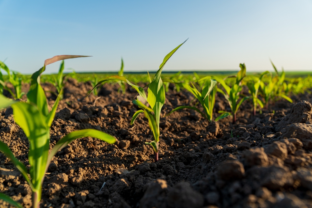 ADI 5553: Entendendo a desoneração tributária para agrotóxicos